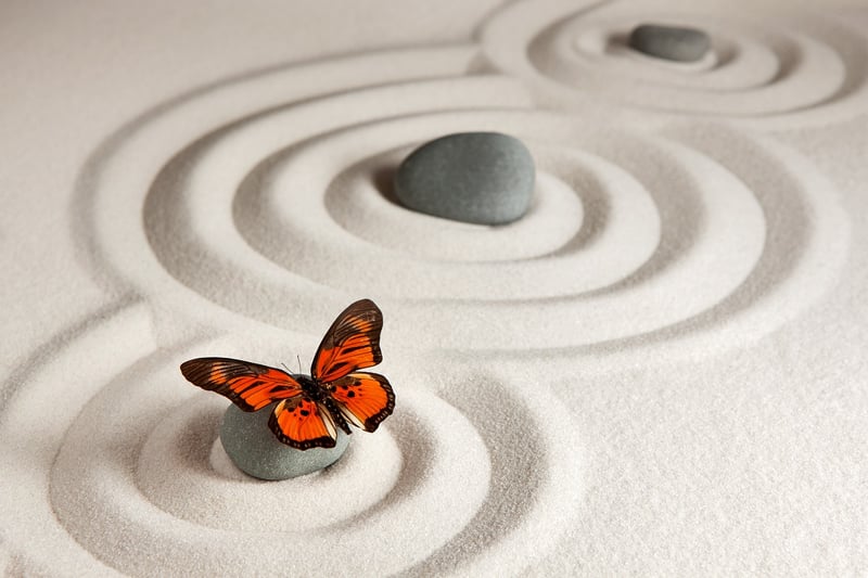Meditation Retreat
